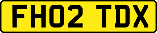 FH02TDX
