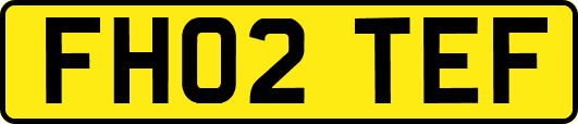 FH02TEF
