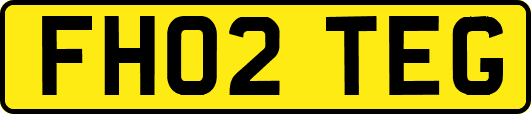 FH02TEG