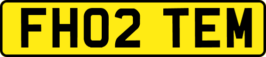 FH02TEM