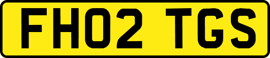 FH02TGS