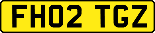 FH02TGZ