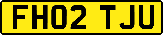 FH02TJU