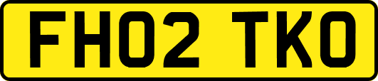 FH02TKO