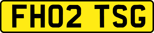 FH02TSG