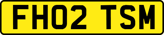 FH02TSM