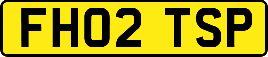 FH02TSP