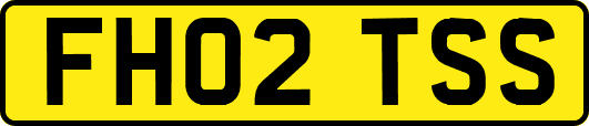 FH02TSS