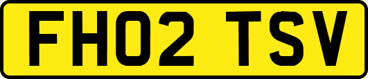 FH02TSV