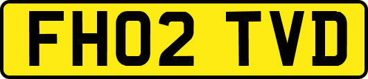 FH02TVD