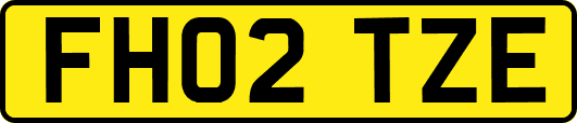 FH02TZE