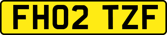 FH02TZF