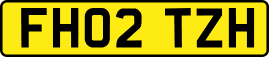 FH02TZH