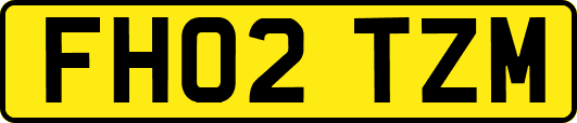 FH02TZM