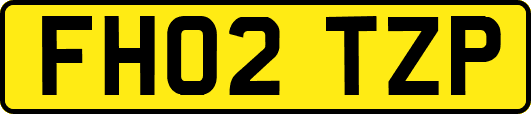 FH02TZP