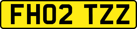 FH02TZZ