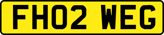 FH02WEG