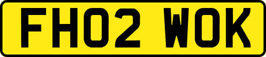 FH02WOK