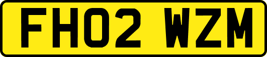 FH02WZM