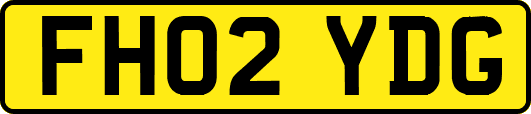 FH02YDG