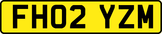 FH02YZM