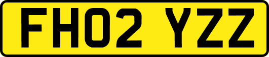 FH02YZZ