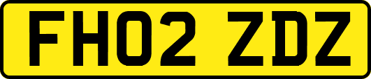 FH02ZDZ