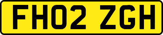 FH02ZGH