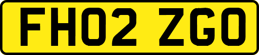 FH02ZGO