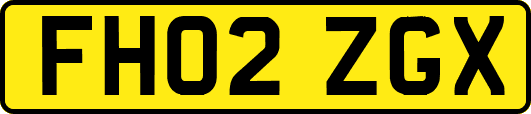 FH02ZGX