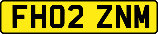 FH02ZNM