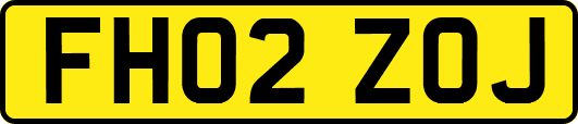 FH02ZOJ