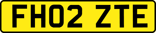 FH02ZTE