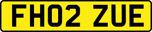 FH02ZUE