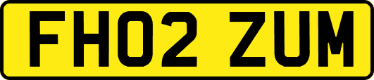 FH02ZUM