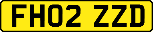 FH02ZZD