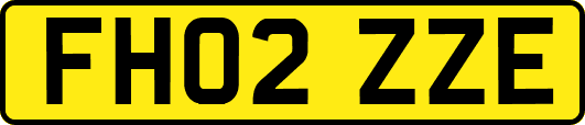 FH02ZZE