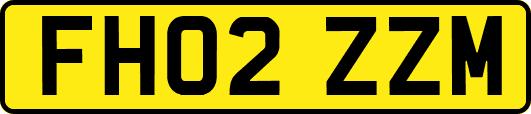 FH02ZZM