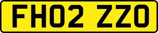 FH02ZZO
