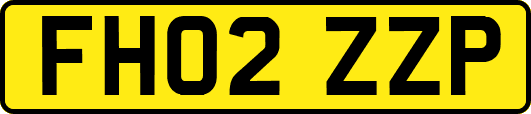 FH02ZZP