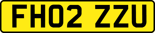 FH02ZZU