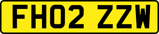 FH02ZZW