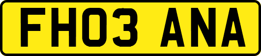 FH03ANA