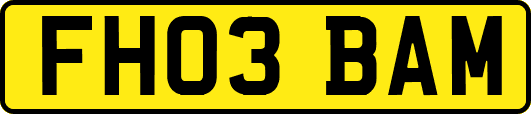 FH03BAM