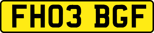 FH03BGF