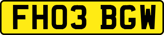 FH03BGW