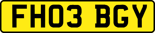 FH03BGY
