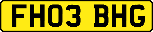 FH03BHG