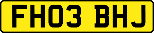 FH03BHJ
