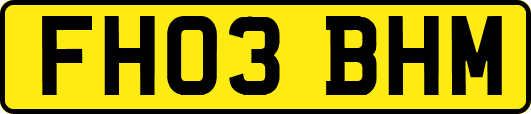 FH03BHM
